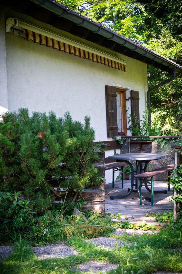 Ferienhaus Schetteregg Esterno foto