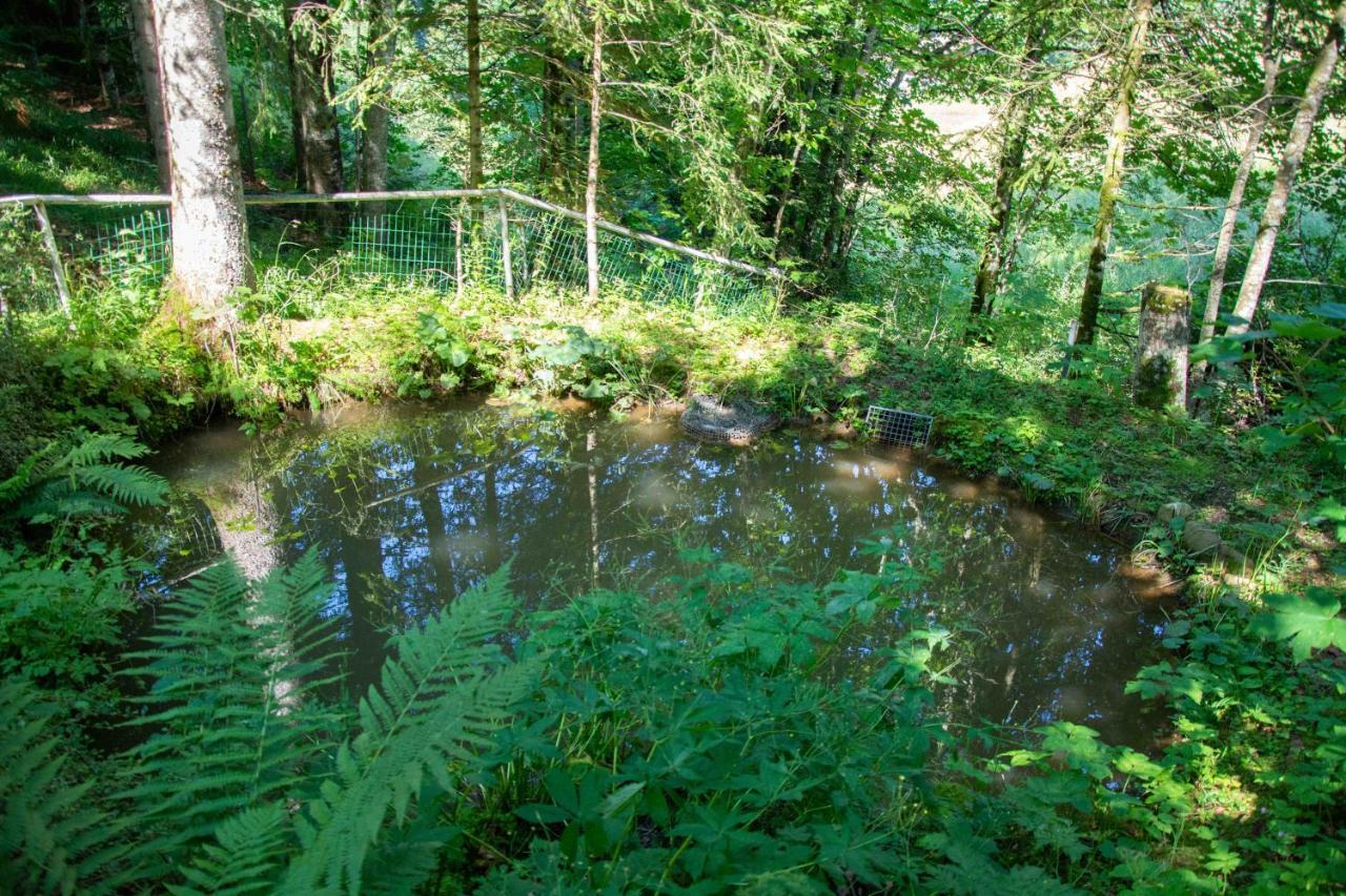 Ferienhaus Schetteregg Esterno foto